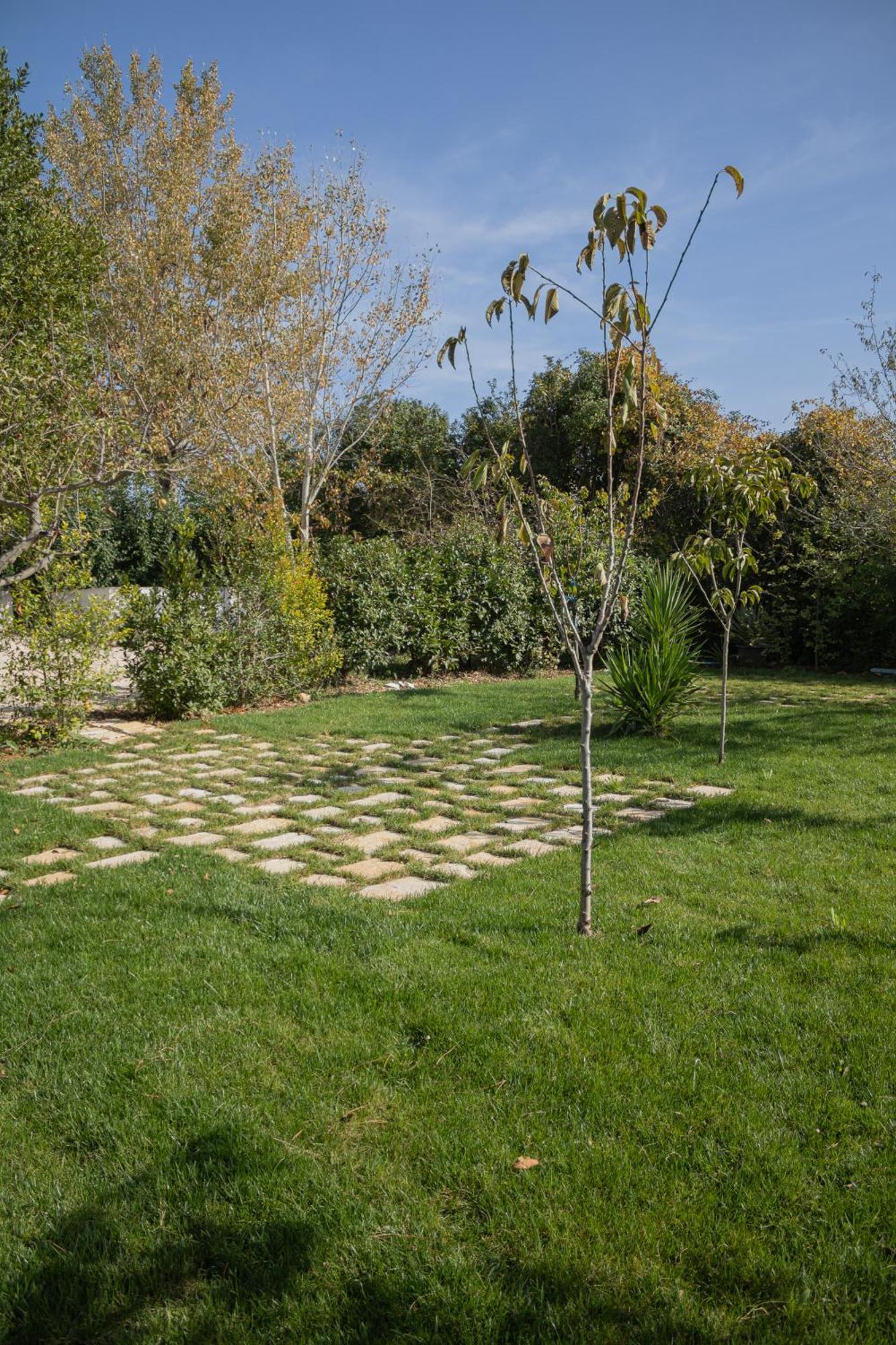 Villa Ada-Trulli Puglia Martina Franca Ngoại thất bức ảnh