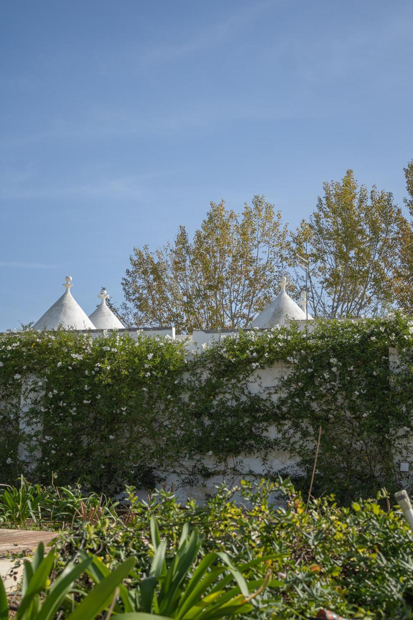 Villa Ada-Trulli Puglia Martina Franca Ngoại thất bức ảnh